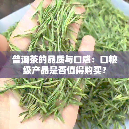 普洱茶的品质与口感：口粮级产品是否值得购买？