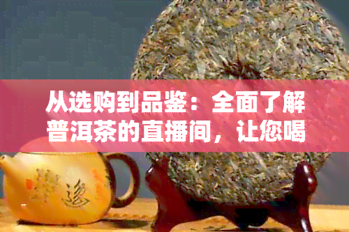 从选购到品鉴：全面了解普洱茶的直播间，让您喝出真正的好茶！