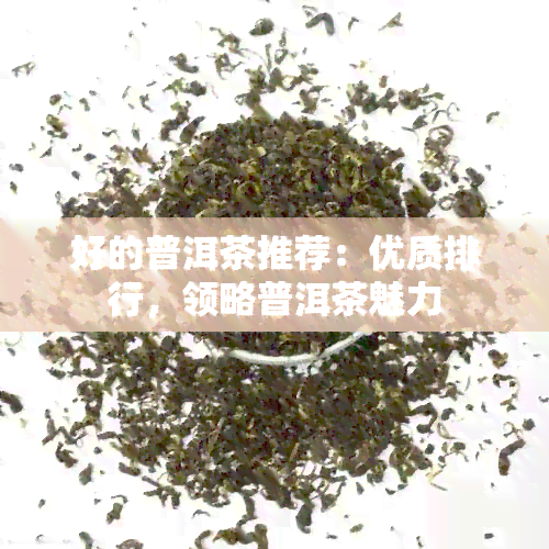 好的普洱茶推荐：优质排行，领略普洱茶魅力