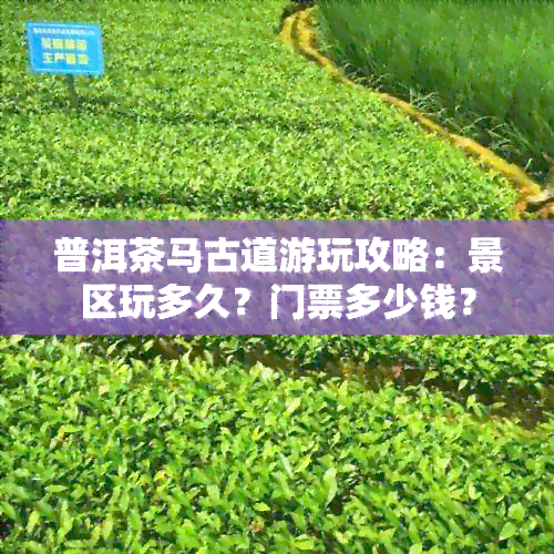 普洱茶马古道游玩攻略：景区玩多久？门票多少钱？