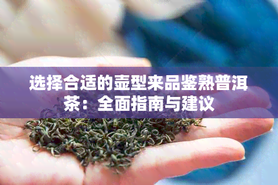 选择合适的壶型来品鉴熟普洱茶：全面指南与建议