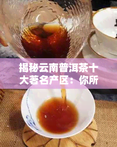 揭秘云南普洱茶十大著名产区：你所不知的云南普洱茶产地