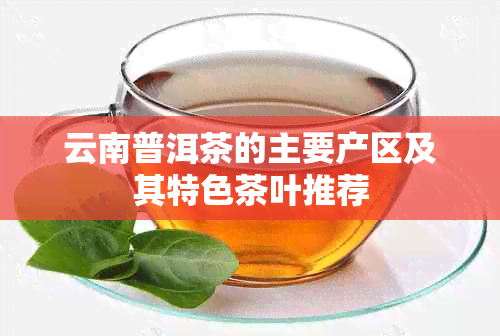 云南普洱茶的主要产区及其特色茶叶推荐