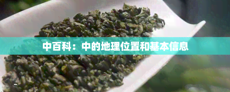 中百科：中的地理位置和基本信息