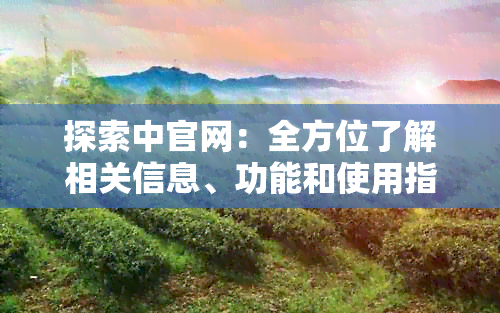 探索中官网：全方位了解相关信息、功能和使用指南