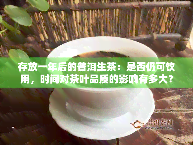 存放一年后的普洱生茶：是否仍可饮用，时间对茶叶品质的影响有多大？