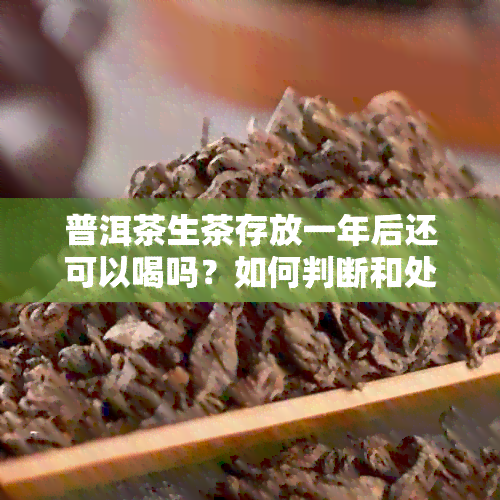 普洱茶生茶存放一年后还可以喝吗？如何判断和处理？