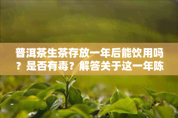 普洱茶生茶存放一年后能饮用吗？是否有？解答关于这一年陈化过程的疑问。