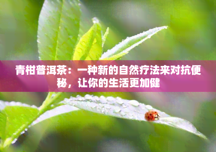 青柑普洱茶：一种新的自然疗法来对抗便秘，让你的生活更加健