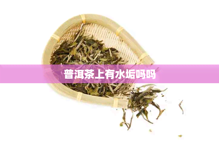 普洱茶上有水垢吗吗