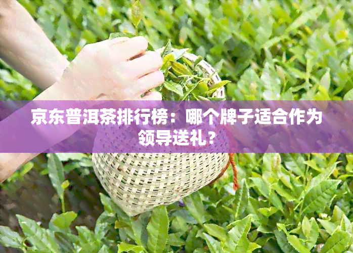 京东普洱茶排行榜：哪个牌子适合作为领导送礼？