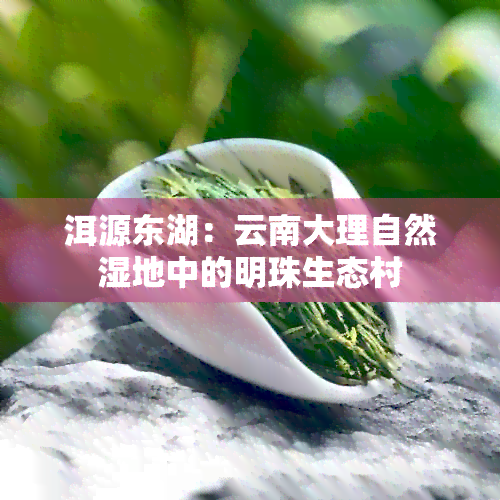 洱源东湖：云南大理自然湿地中的明珠生态村