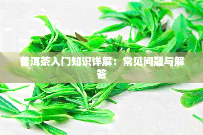 普洱茶入门知识详解：常见问题与解答