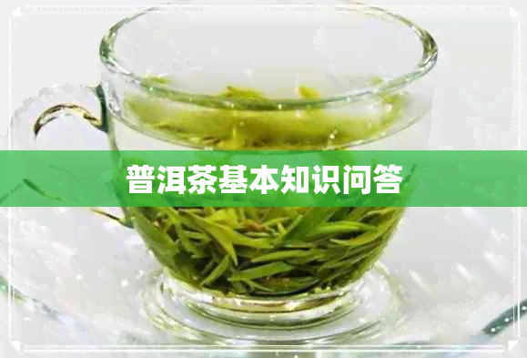 普洱茶基本知识问答