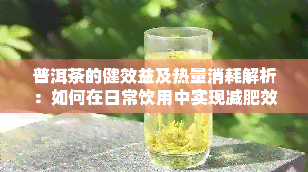 普洱茶的健效益及热量消耗解析：如何在日常饮用中实现减肥效果