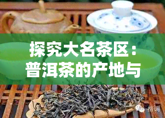 探究大名茶区：普洱茶的产地与山头文化