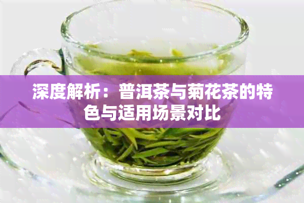 深度解析：普洱茶与菊花茶的特色与适用场景对比