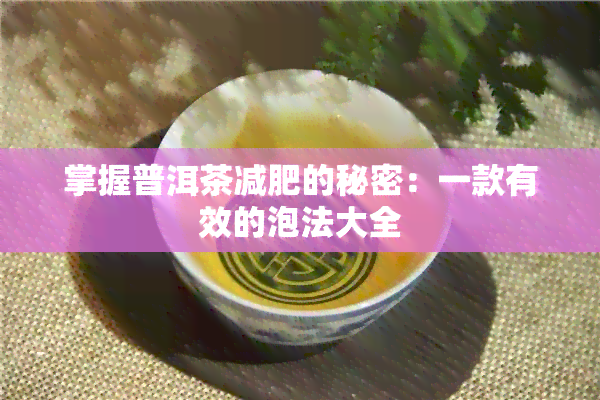 掌握普洱茶减肥的秘密：一款有效的泡法大全