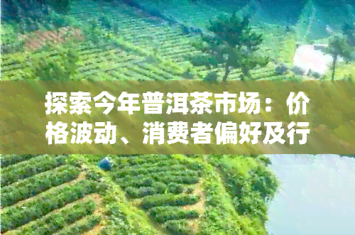 探索今年普洱茶市场：价格波动、消费者偏好及行业趋势