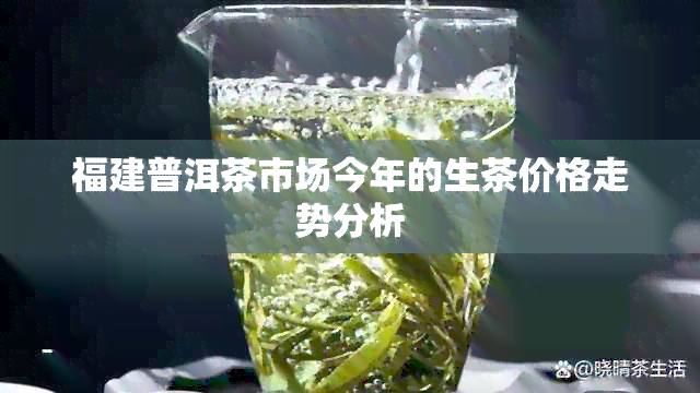 福建普洱茶市场今年的生茶价格走势分析