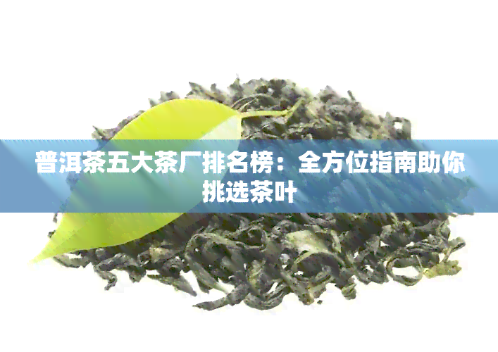 普洱茶五大茶厂排名榜：全方位指南助你挑选茶叶