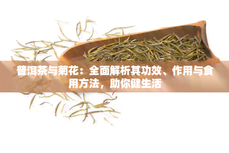 普洱茶与菊花：全面解析其功效、作用与食用方法，助你健生活