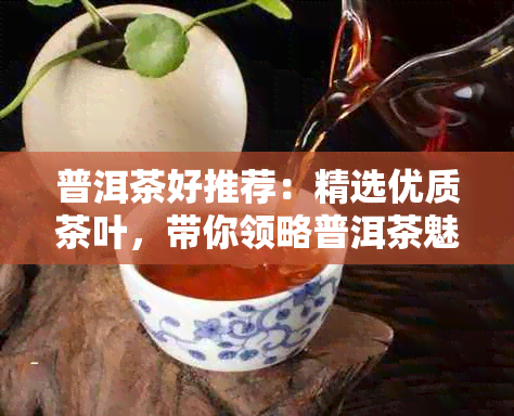 普洱茶好推荐：精选优质茶叶，带你领略普洱茶魅力