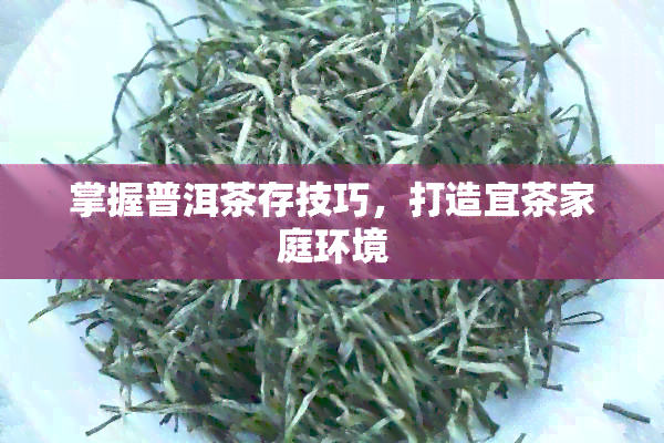 掌握普洱茶存技巧，打造宜茶家庭环境