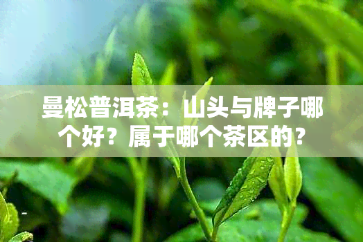 曼松普洱茶：山头与牌子哪个好？属于哪个茶区的？