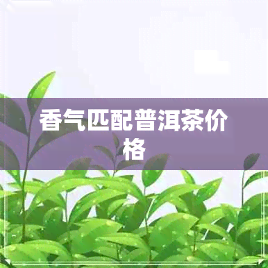 香气匹配普洱茶价格