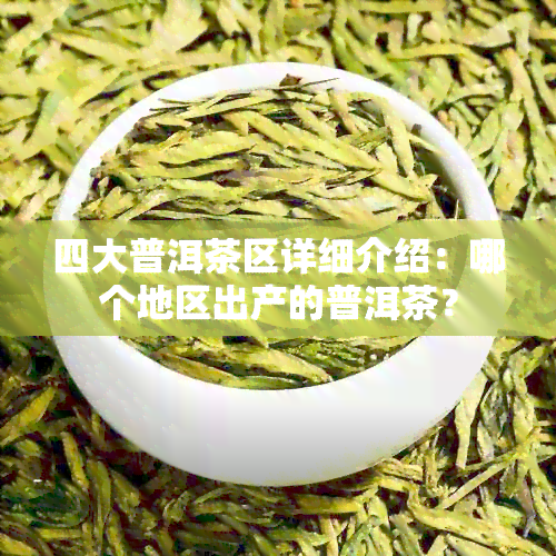 四大普洱茶区详细介绍：哪个地区出产的普洱茶？