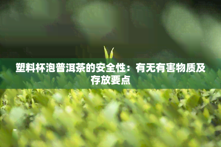 塑料杯泡普洱茶的安全性：有无有害物质及存放要点