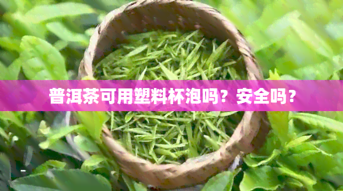 普洱茶可用塑料杯泡吗？安全吗？