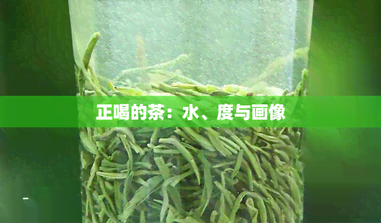 正喝的茶：水、度与画像