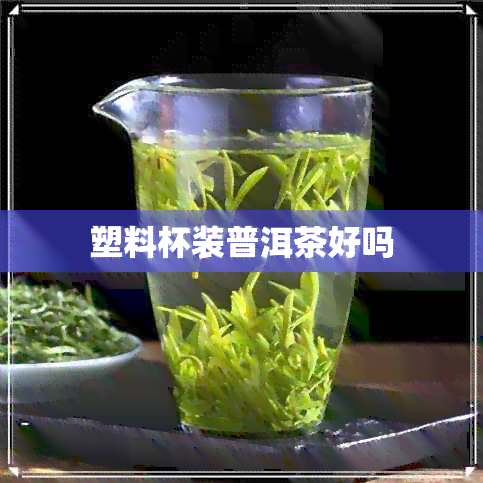 塑料杯装普洱茶好吗