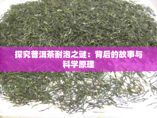 探究普洱茶耐泡之谜：背后的故事与科学原理