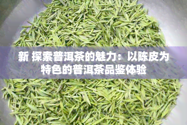 新 探索普洱茶的魅力：以陈皮为特色的普洱茶品鉴体验