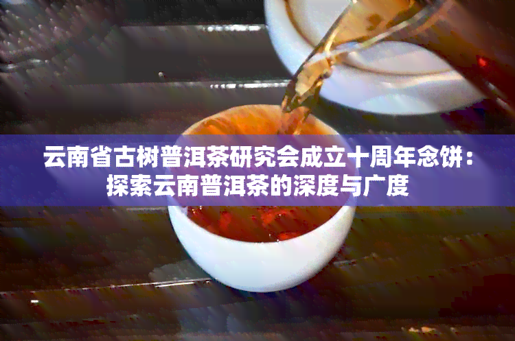 云南省古树普洱茶研究会成立十周年念饼：探索云南普洱茶的深度与广度