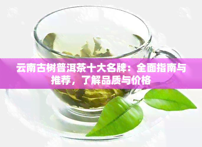 云南古树普洱茶十大名牌：全面指南与推荐，了解品质与价格