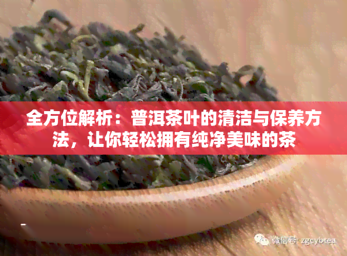 全方位解析：普洱茶叶的清洁与保养方法，让你轻松拥有纯净美味的茶