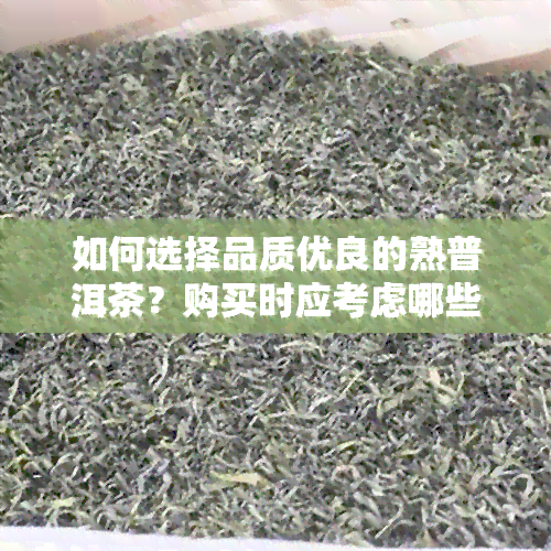 如何选择品质优良的熟普洱茶？购买时应考虑哪些因素？