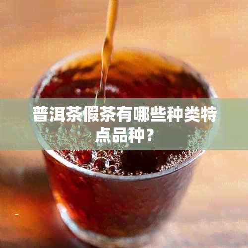 普洱茶假茶有哪些种类特点品种？