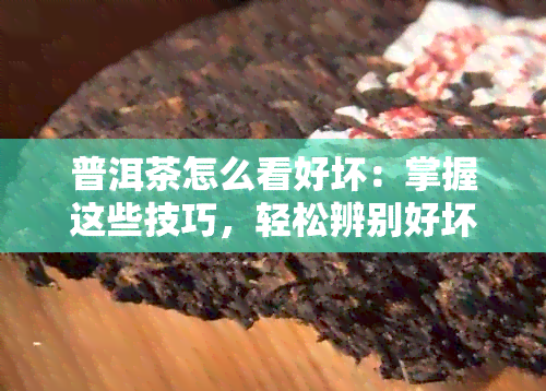 普洱茶怎么看好坏：掌握这些技巧，轻松辨别好坏