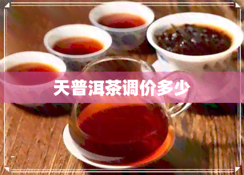 天普洱茶调价多少