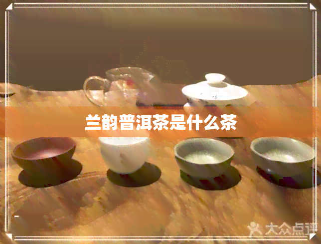 兰韵普洱茶是什么茶