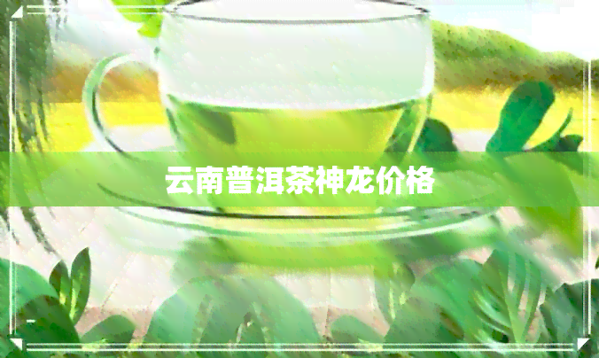 云南普洱茶神龙价格