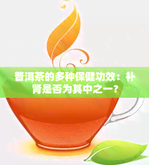 普洱茶的多种保健功效：补肾是否为其中之一？