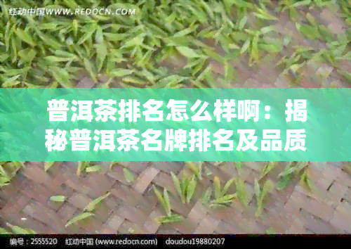 普洱茶排名怎么样啊：揭秘普洱茶名牌排名及品质好坏