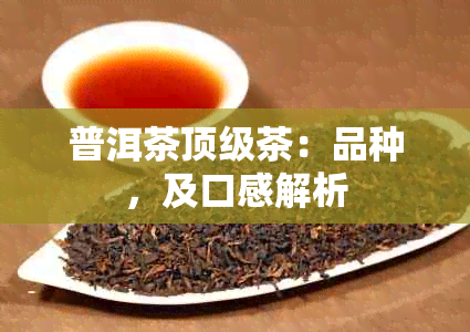 普洱茶顶级茶：品种，及口感解析