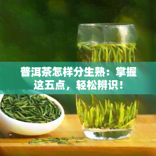 普洱茶怎样分生熟：掌握这五点，轻松辨识！